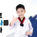 캡틴태권도 이미지