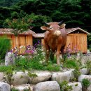 수승대민박 이미지