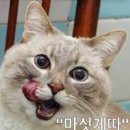 착한김밥착한밥상