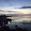 눈큰새우게스트하우스 이미지