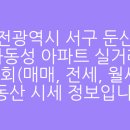 국화동성 이미지