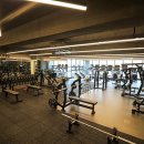 와일드짐 이미지