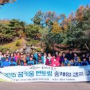 숲으로 떠나는 힐링 여행 이미지