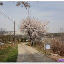 미륵산 심곡사 - 1332 | 미륵산 심곡사