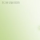 뮬리성형외과의원 이미지