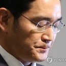 담양 반딧불 이미지