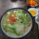 (주)남청주양지주유소 | [대전광역시] 새벽 출발 당일치기 대전여행 (태평소국밥,한밭수목원,천연기념물센터,성심당,소제예찬1927)