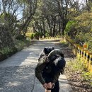 크로스핏 서귀포 | [제주/서귀포] 11월 중순 제주 한라산 등반 성판악...완전 초보의 찐 후기 (등산 준비물 주차정보 꿀팁...