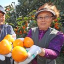 한창메디칼 이미지