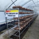 거제시 치매안심센터 이미지