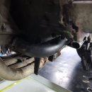 호넷컴퍼니 이미지