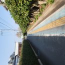 [5060] 타일실무과정 | 제주시 화장실 타일벽 못구멍, 복원 전문가에게!