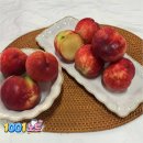 튼튼농장 | 고씨네농장 복숭아 4kg 솔직후기, 딱딱이 말랑이 고민 끝에 정착한 이유