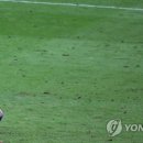 잔디와사람들 이미지