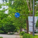 브라운베이글수원 이미지