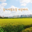에스에스엠컨설팅 이미지