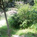 청우산장 이미지