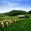 영업목장 이미지