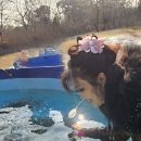덕바위마을 Daum카페