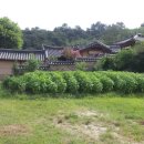 만석지기 - 서구 군분2로 5 | 만석지기