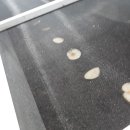 잘크는농장 이미지