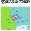 자연건강그신비를캐는사람들