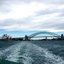 하버크루즈 이미지