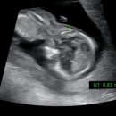 도안누리여성의원 이미지