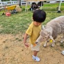 큰언덕목장 이미지