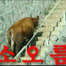 럭셔리룸소주방 이미지