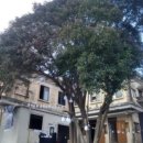 신진여인숙 이미지