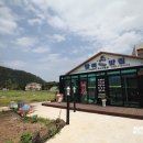 제주찰리아저씨