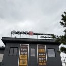 오리먹고갈비먹고 | 남구맛집 경복궁숯불구이 울산본점 신메뉴 오리양념불고기 점심으로 먹고온 후기 (볶음밥까지 완벽하게!)