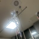 불로치과의원 | 제왕절개 훗배앓이 통증 출산 후기 [가연관악산부인과]