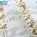 플루트 1:1 개인레슨 이미지