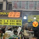 평창에너지 | 화천보다 컸다, 넓었다, 맛있었다! 평창송어축제 생생 후기