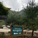 홍천 캠핑장 ‘여차울 캠핑장’