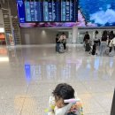 공항로 | ️ 인천공항 주차 고민 끝! 와우파킹주차대행 인천공항로점 이용 후기 🚗