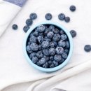 팀 제이제이 이미지