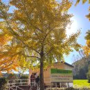 원당공원 화장실 이미지