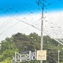 금산농협하나로마트비호점 이미지