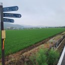 산정마을 농로 이미지