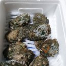 청산도 돌담민박 이미지