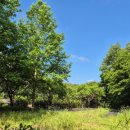 김해투자공인중개사사무소 이미지