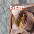 르네트르37 이미지