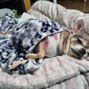 황제살롱 이미지