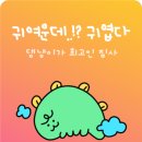 수수뷰티 이미지