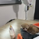 사직동물의료센터 이미지