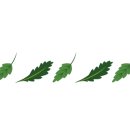 쪽갈비와찜닭 이미지