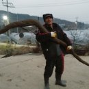 밤산농원 이미지